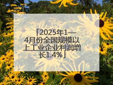 2025年1—4月份全国规模以上工业企业利润增长1.4%