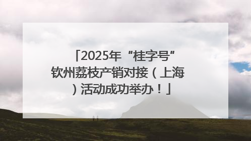 2025年“桂字号”钦州荔枝产销对接（上海）活动成功举办！