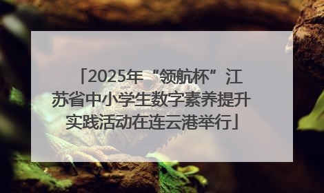 2025年“领航杯”江苏省中小学生数字素养提升实践活动在连云港举行