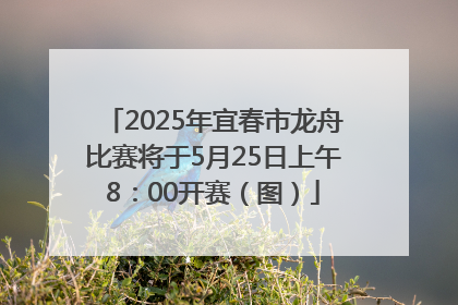 2025年宜春市龙舟比赛将于5月25日上午8：00开赛（图）
