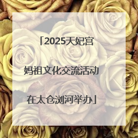 2025天妃宫妈祖文化交流活动在太仓浏河举办