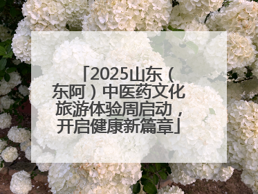 2025山东（东阿）中医药文化旅游体验周启动，开启健康新篇章