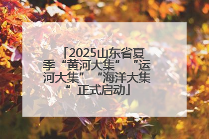 2025山东省夏季“黄河大集”“运河大集”“海洋大集”正式启动