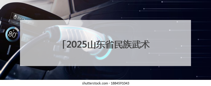 2025山东省民族武术邀请赛举办 冠县查拳代表团勇夺三金二银一铜