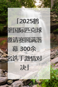 2025鹤壁国际匹克球邀请赛圆满落幕 300余名选手激情对决