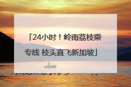 24小时！岭南荔枝乘专线 枝头直飞新加坡