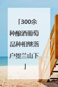 300余种酿酒葡萄品种相继落户贺兰山下