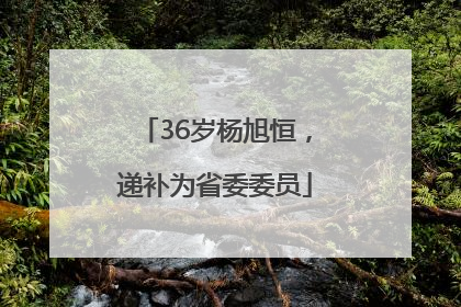 36岁杨旭恒，递补为省委委员