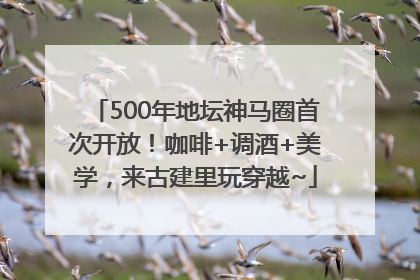 500年地坛神马圈首次开放！咖啡+调酒+美学，来古建里玩穿越~