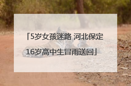 5岁女孩迷路 河北保定16岁高中生冒雨送回