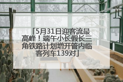 5月31日迎客流最高峰！端午小长假长三角铁路计划增开管内临客列车139对