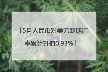5月人民币对美元即期汇率累计升值0.93%
