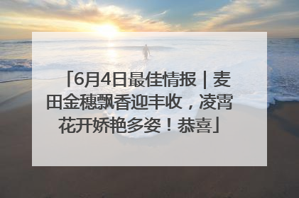6月4日最佳情报｜麦田金穗飘香迎丰收，凌霄花开娇艳多姿！恭喜