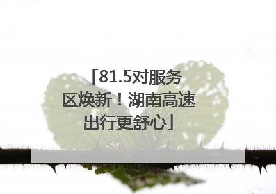 81.5对服务区焕新！湖南高速出行更舒心