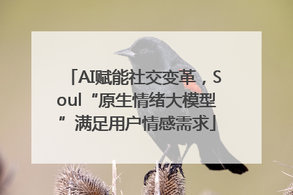 AI赋能社交变革，Soul“原生情绪大模型”满足用户情感需求
