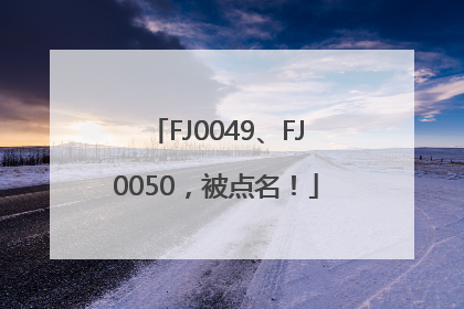 FJ0049、FJ0050，被点名！