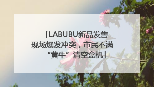 LABUBU新品发售现场爆发冲突，市民不满“黄牛”清空盒机
