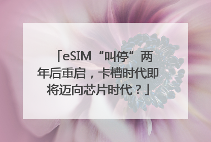 eSIM“叫停”两年后重启，卡槽时代即将迈向芯片时代？