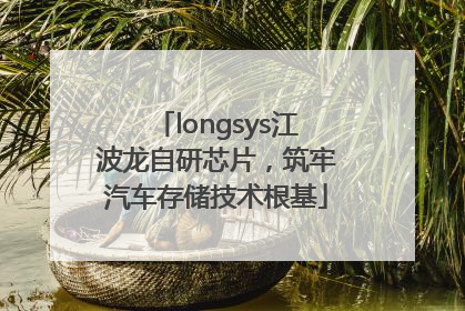 longsys江波龙自研芯片，筑牢汽车存储技术根基